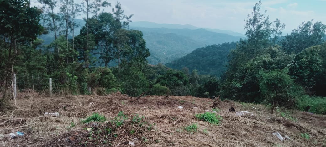 32Cents of Land