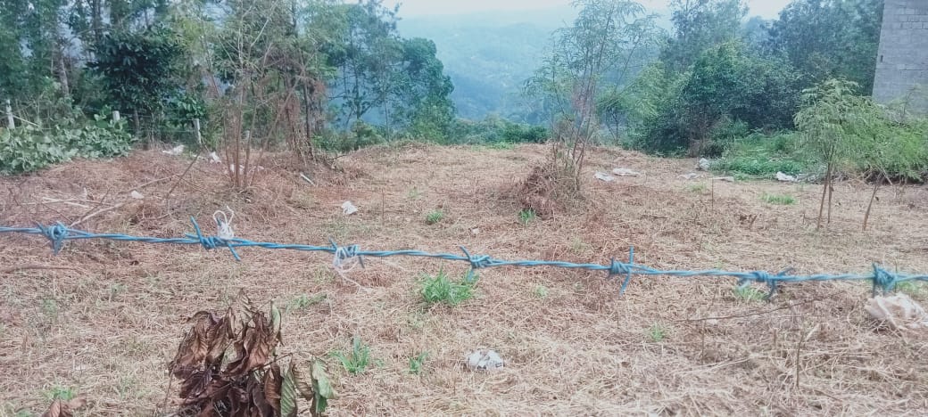 32Cents of Land