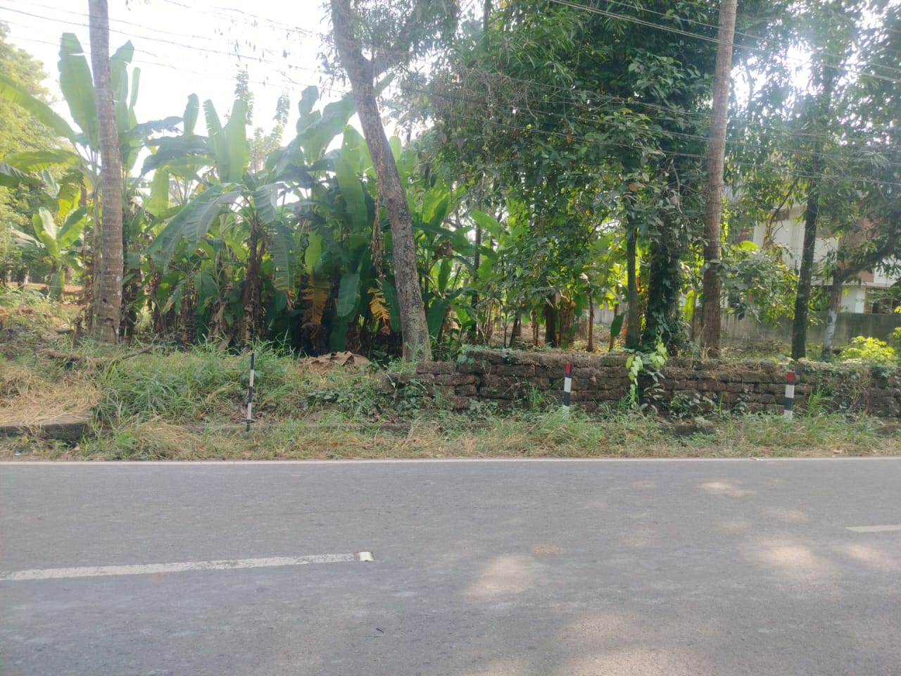 35 cents of Land - for sale in Kalady, Kochi ( Ernakulam ), Kerala