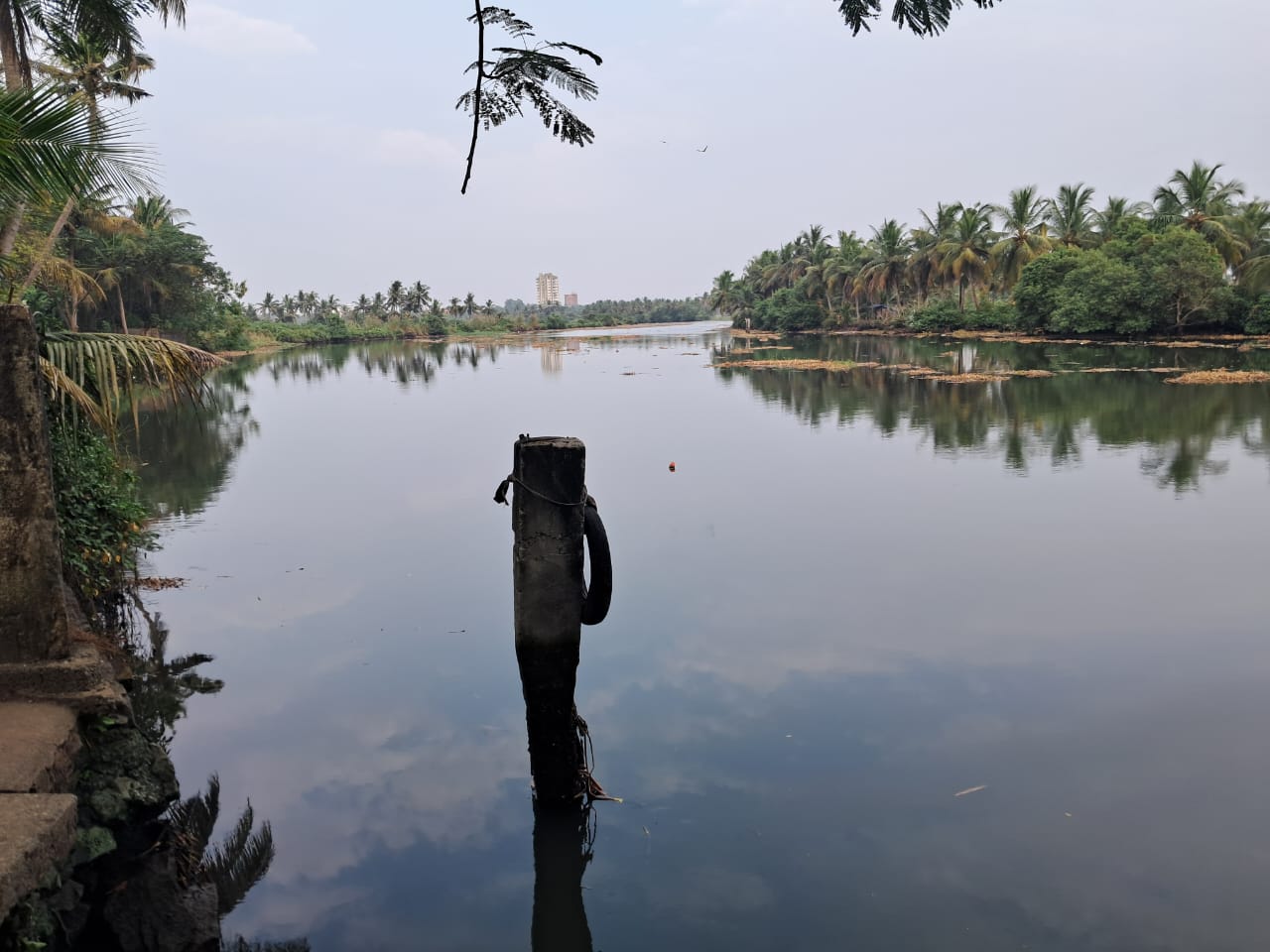 3200sqft 4BHK Semifurnished House