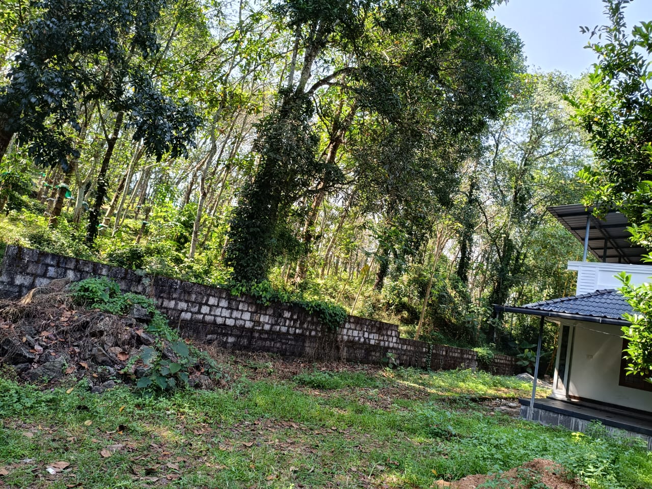 3500sqft House - for sale in Vembilli, Kochi ( Ernakulam ), Kerala