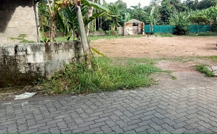 37 Cents of Land