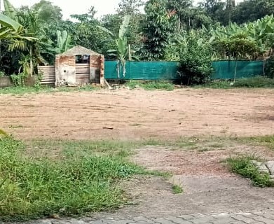 37 Cents of Land