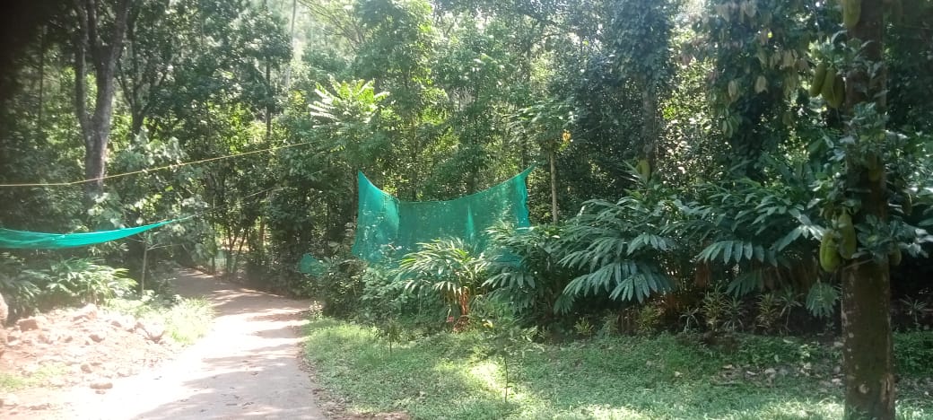 4.5 Acres of Land