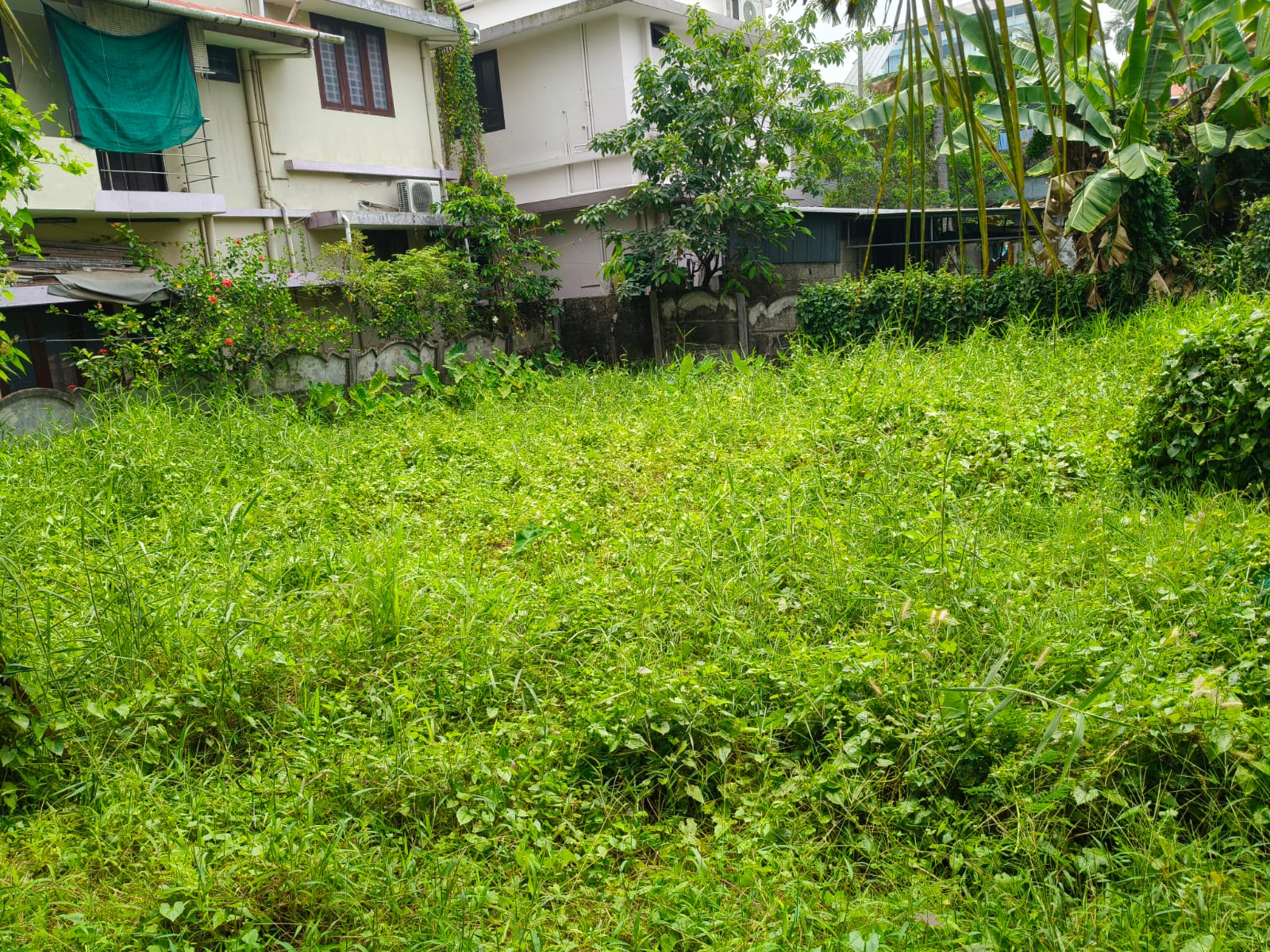4.500 cents of Land - for sale in Tripunithra, Kochi ( Ernakulam ), Kerala