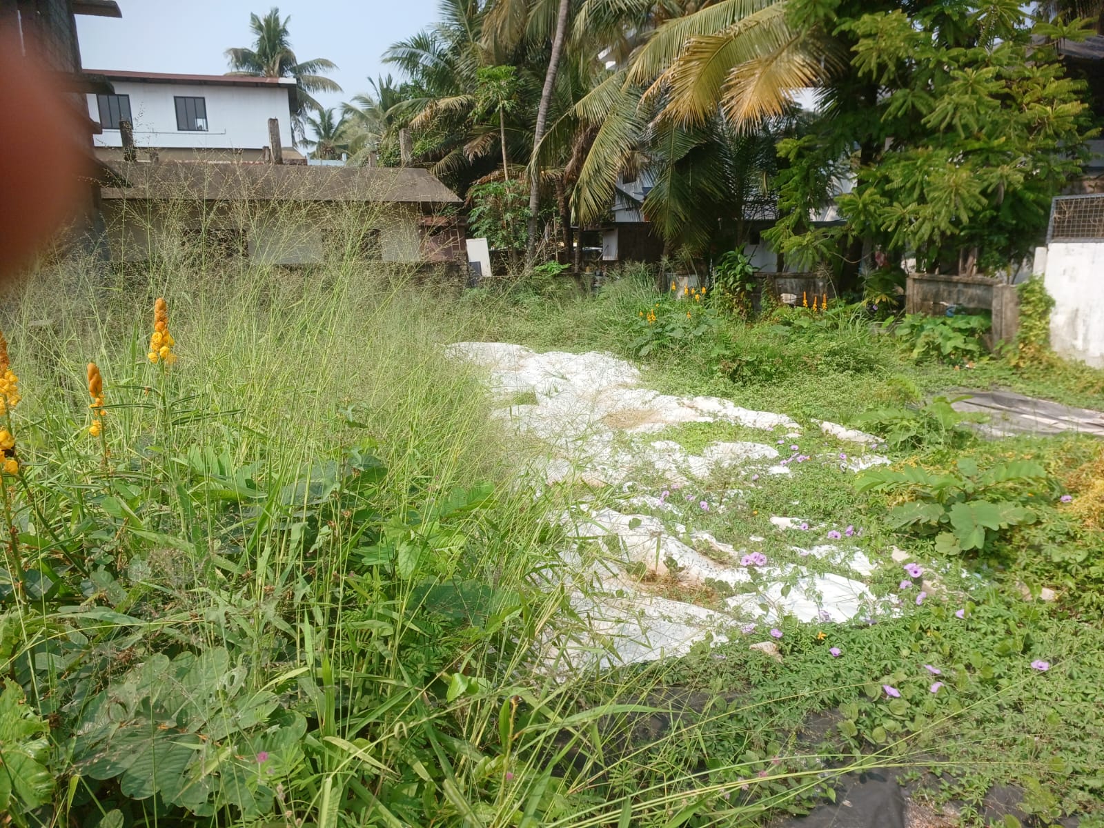 4 cents of Land - for sale in Maradu, Kochi ( Ernakulam ), Kerala