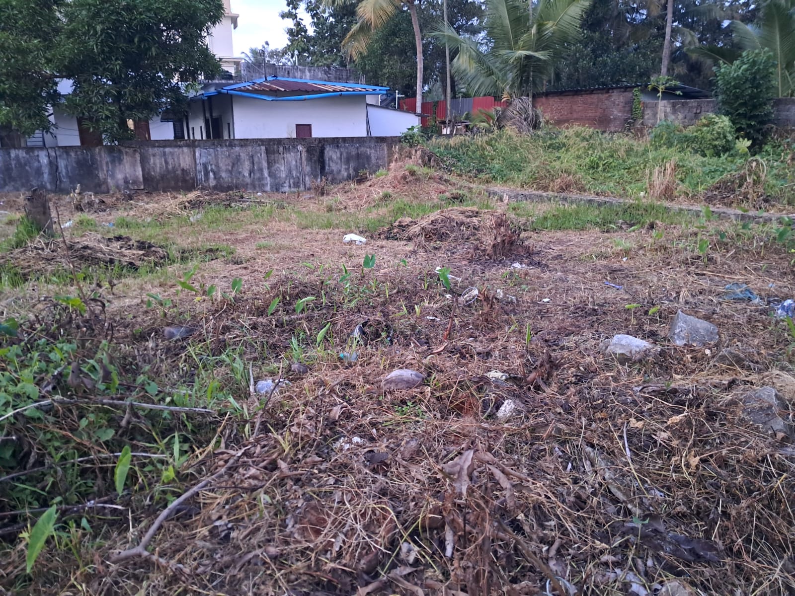 4 cents of Land - for sale in madavana, Kochi ( Ernakulam ), Kerala