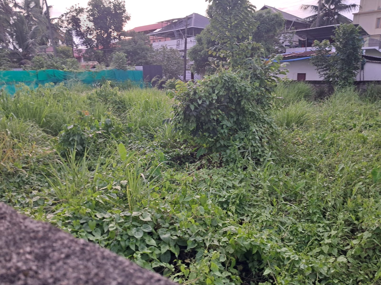 4 cents of Prime Residential Property - for sale in Kadavanthra, Kochi ( Ernakulam ), Kerala