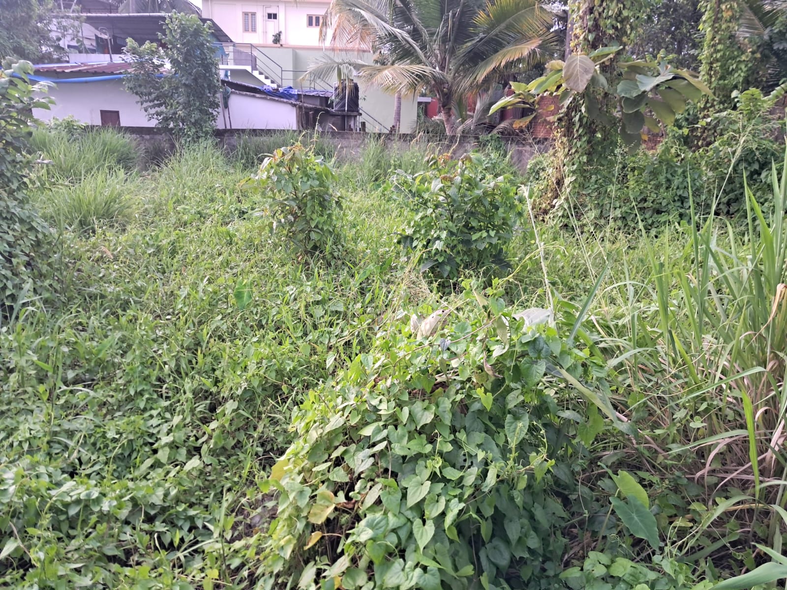 4 cents of Prime Residential Property