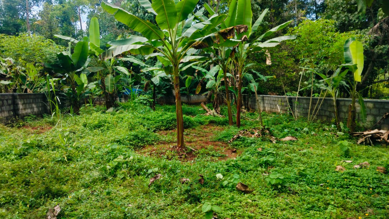 4 Cents of Residential Property