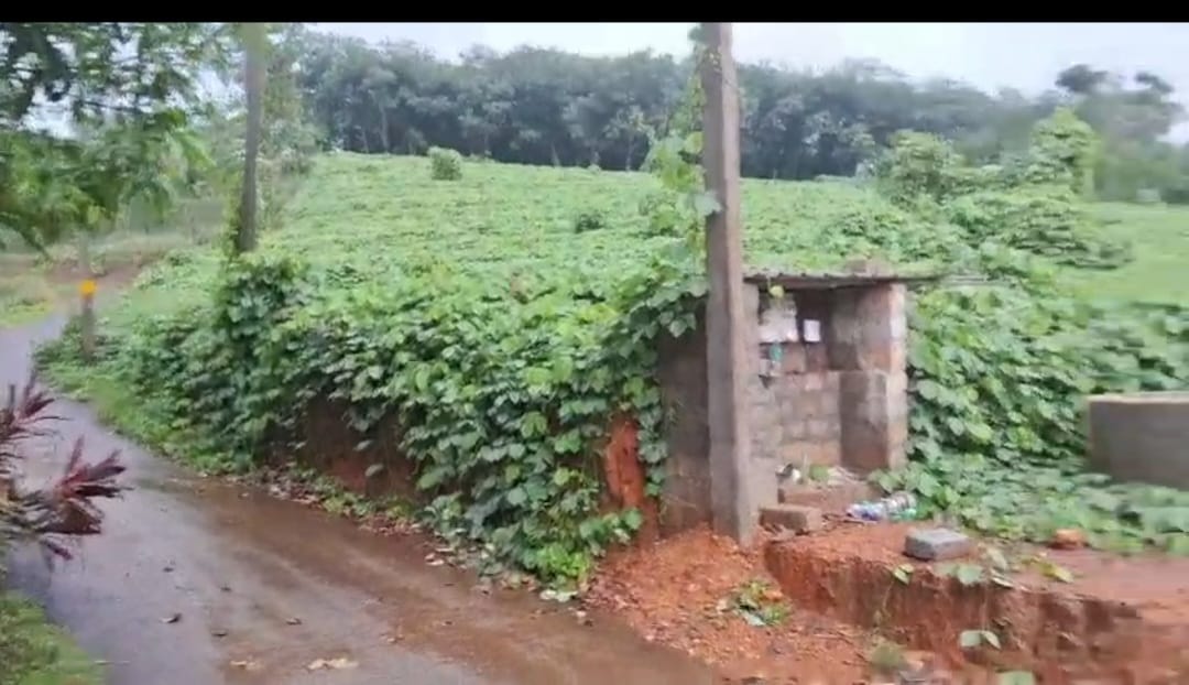 40 cent of Residential Land in Vettithara, Maneed