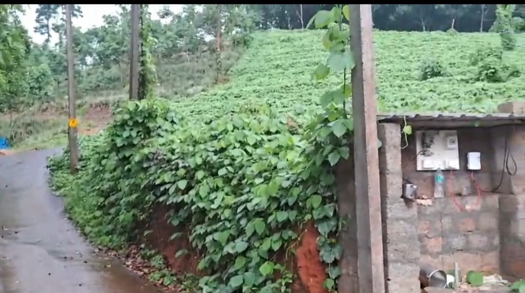 40 cent of Residential Land in Vettithara, Maneed