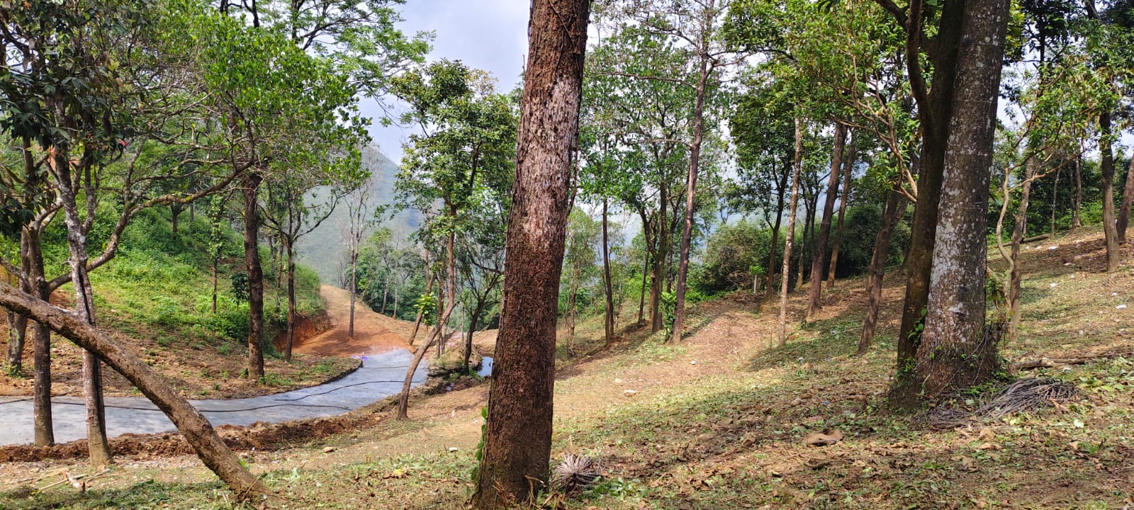 40 Cents of Land - for sale in Vagamon, Kochi, Kerala