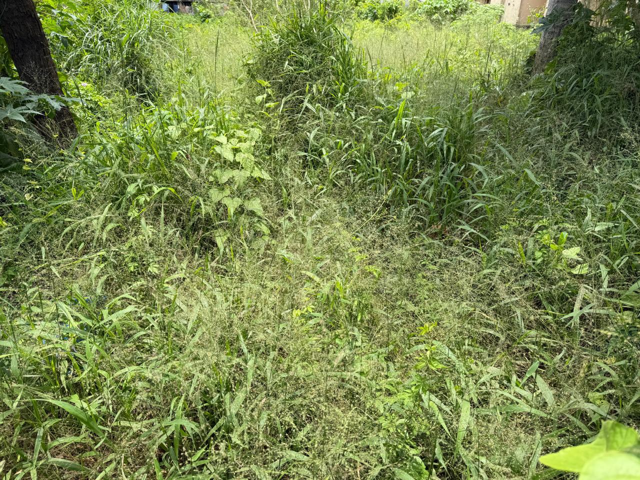 40 cents of Land