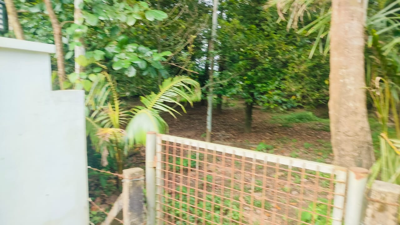 40 Cents of Land in Angamaly