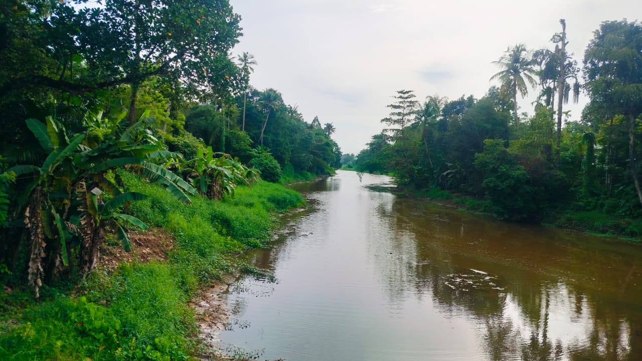 40 Cents of Land in Angamaly