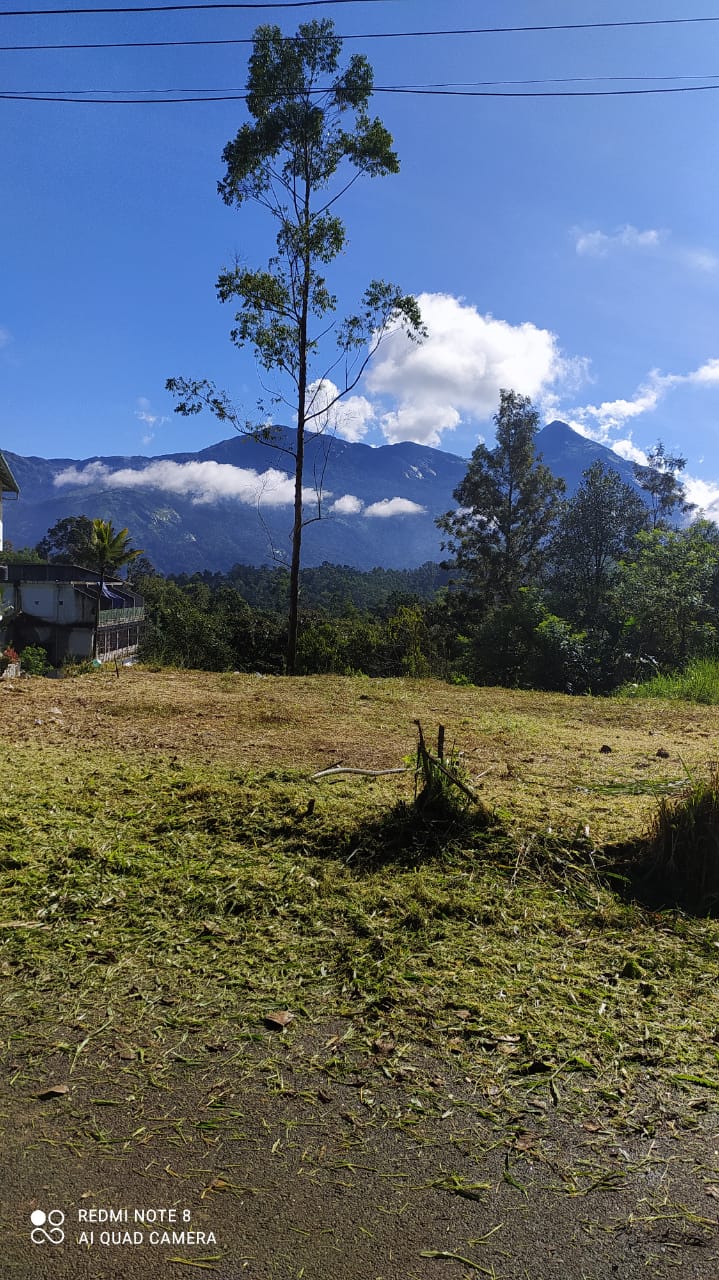 41cents of land in Munnar - for sale in Next to Iceberg resort/ Anachal- E.T. City Road, Idukki, Kerala