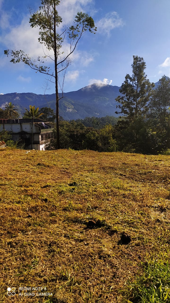 41cents of land in Munnar