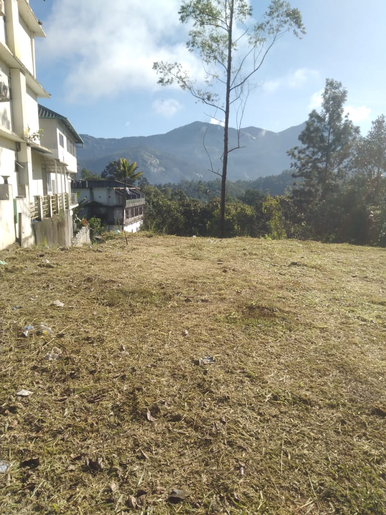 41cents of land in Munnar