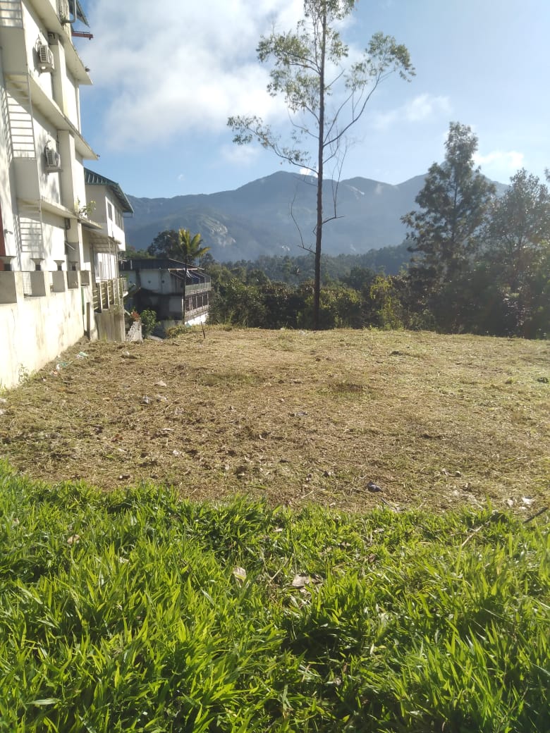 41cents of land in Munnar