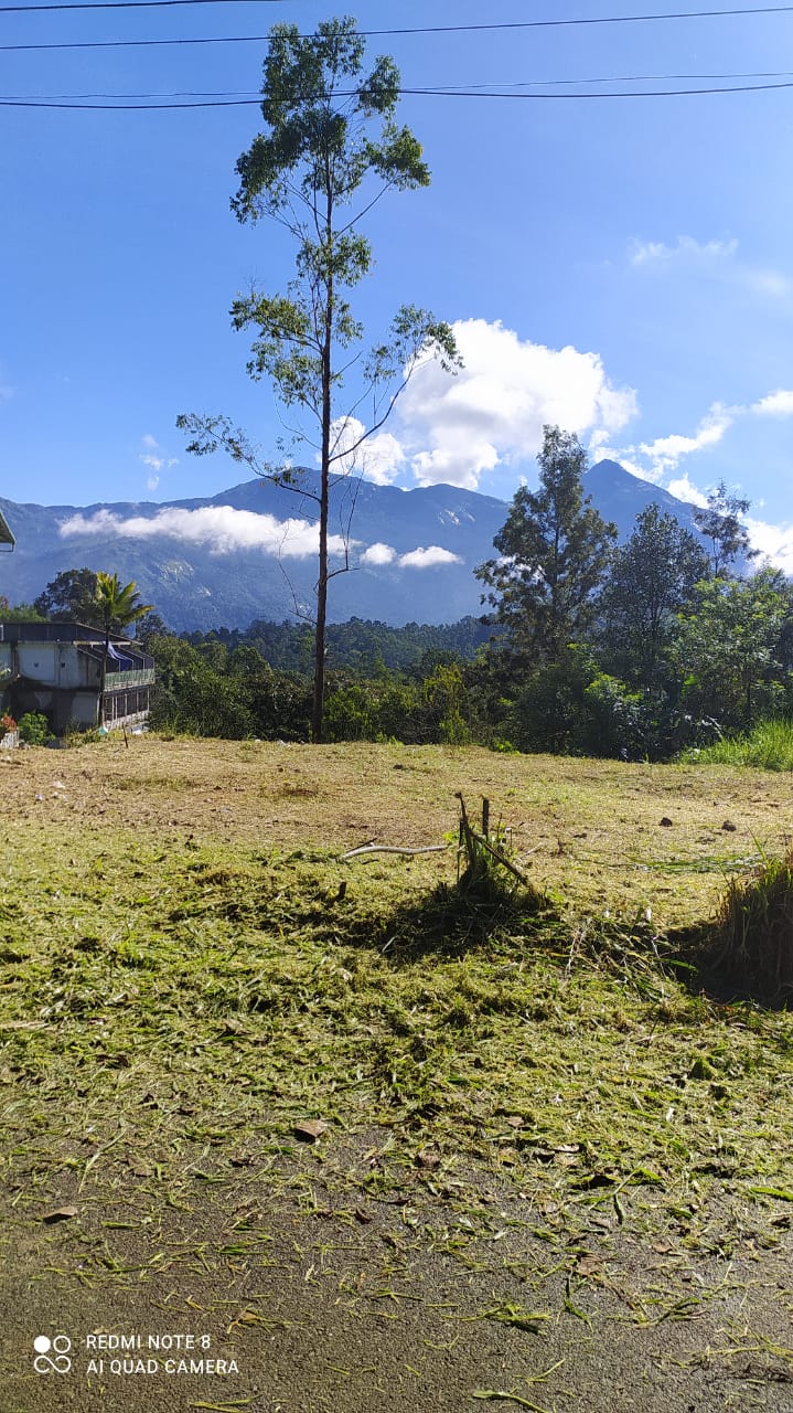 41cents of land in Munnar