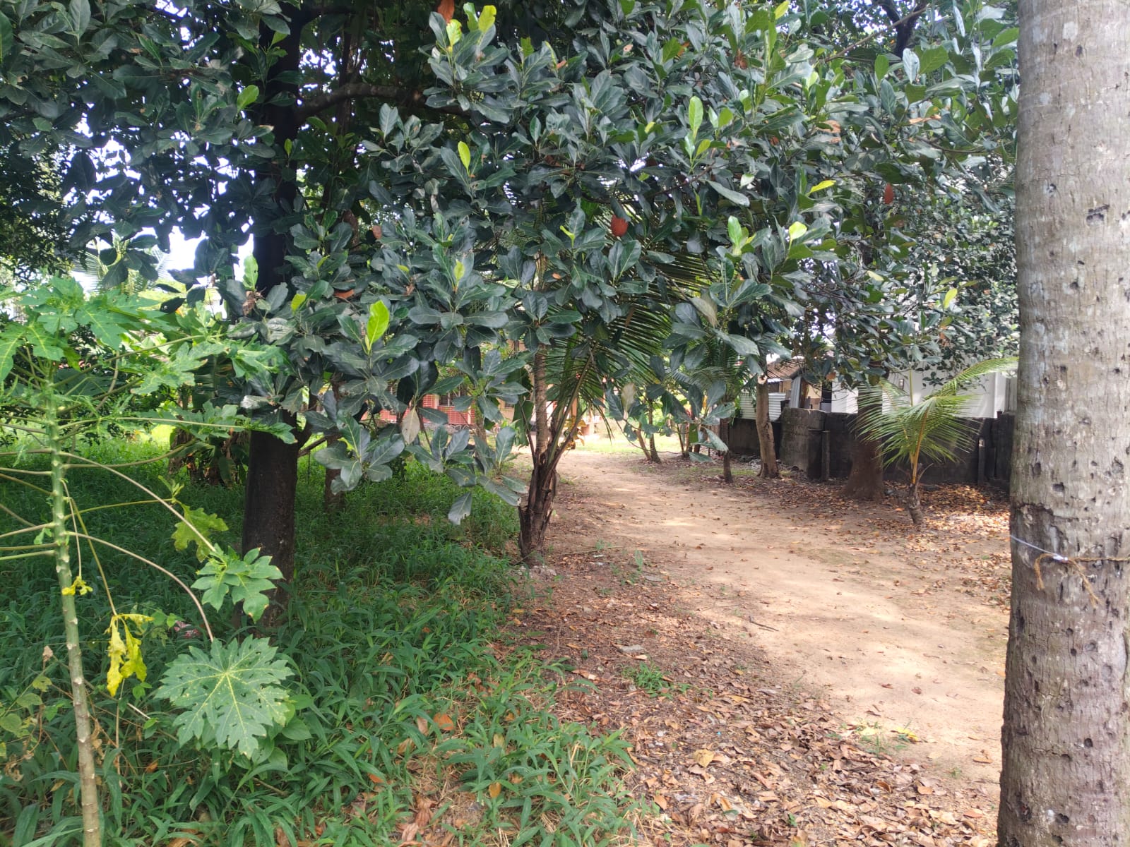 45 cents of Land - for sale in Tripunithara, Kochi ( Ernakulam ), Kerala