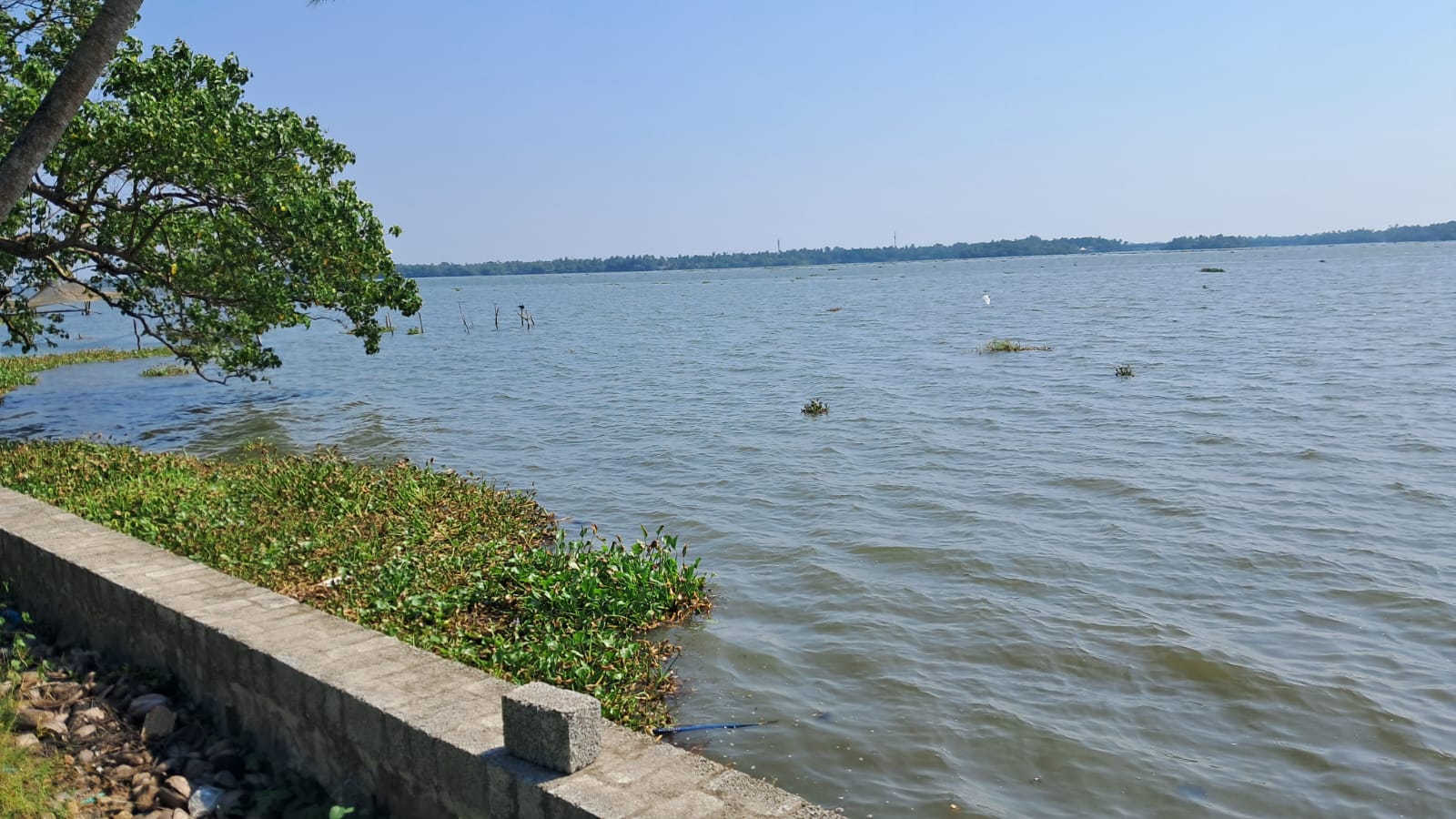45 cents of Land - for sale in Panangad, Kochi ( Ernakulam ), Kerala