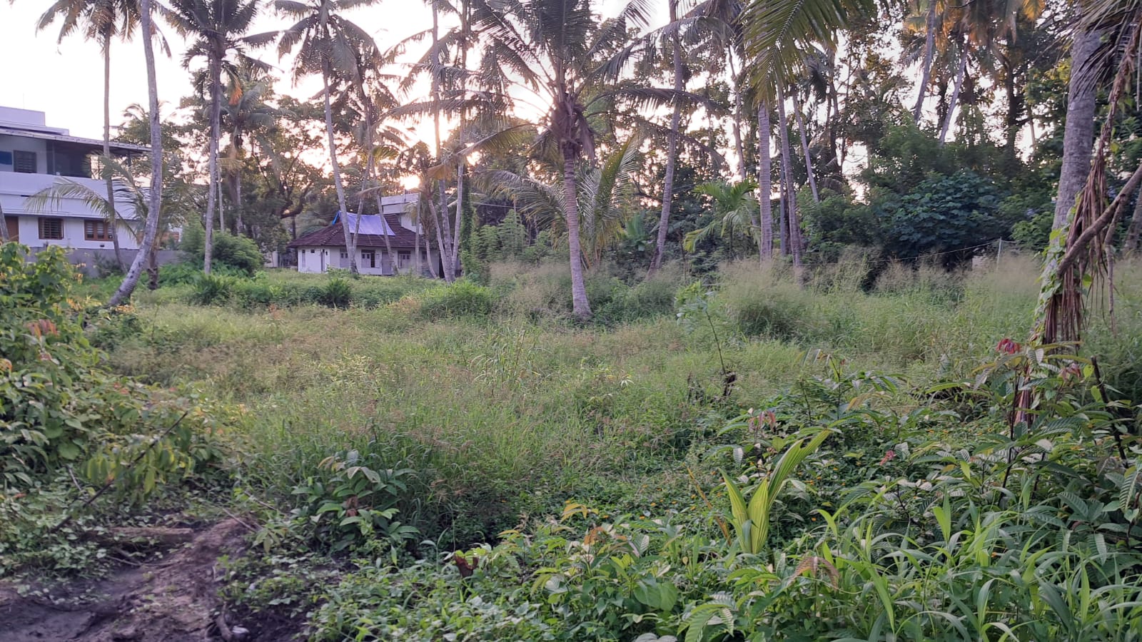45 cents of Prime Commercial/ Residential waterfront property