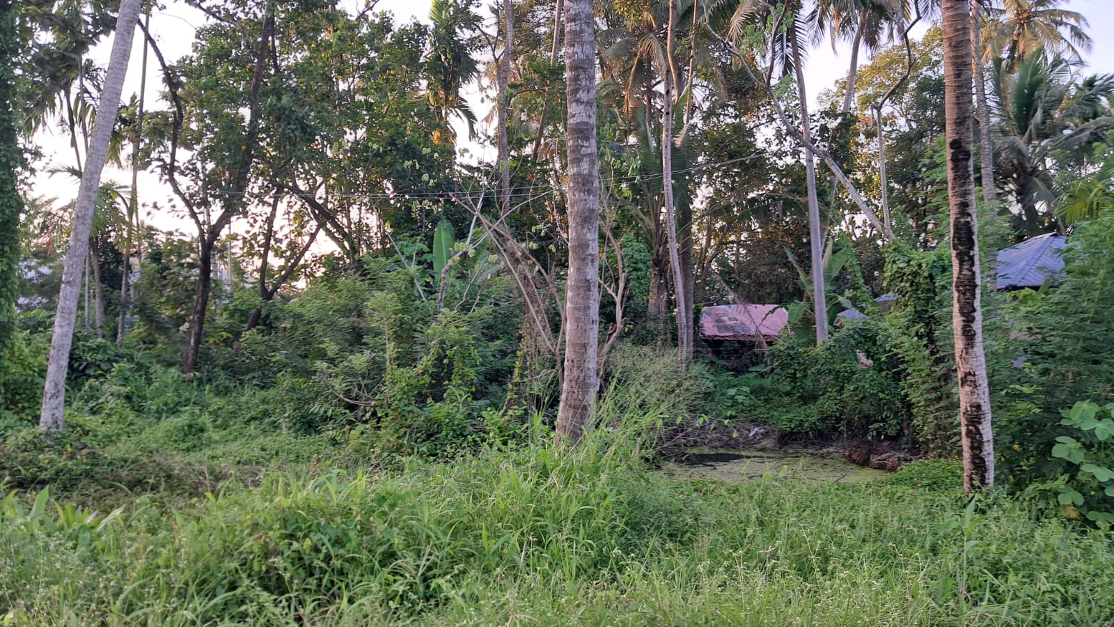 45 cents of Prime Commercial/ Residential waterfront property