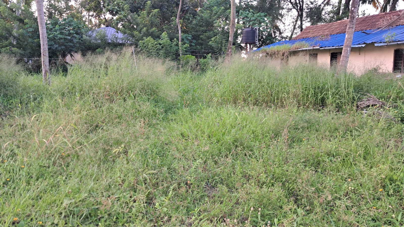 45 cents of Prime Commercial/ Residential waterfront property