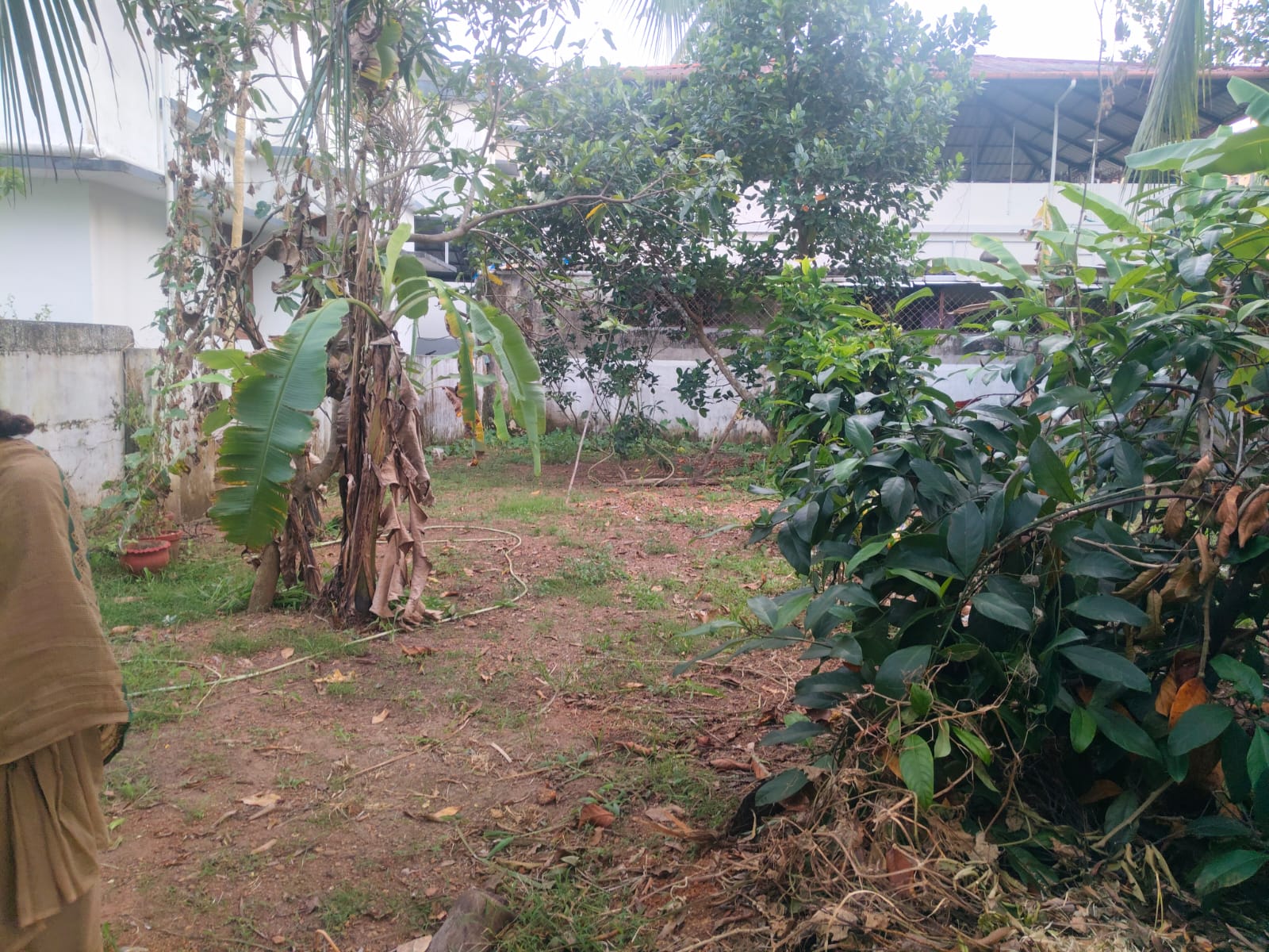 5.300cents of Land - for sale in Maradu, Kochi ( Ernakulam ), Kerala