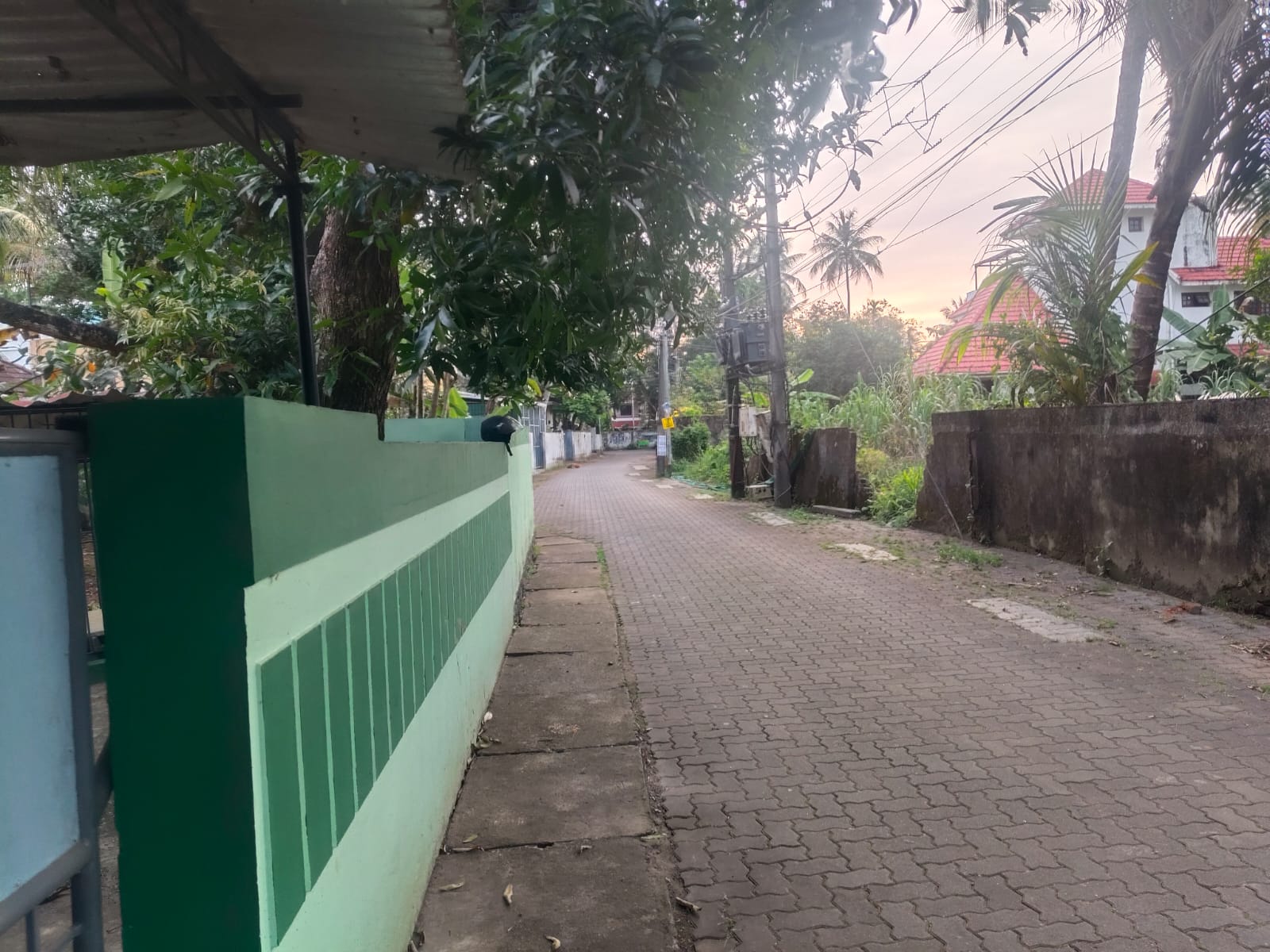 5.300cents of Land