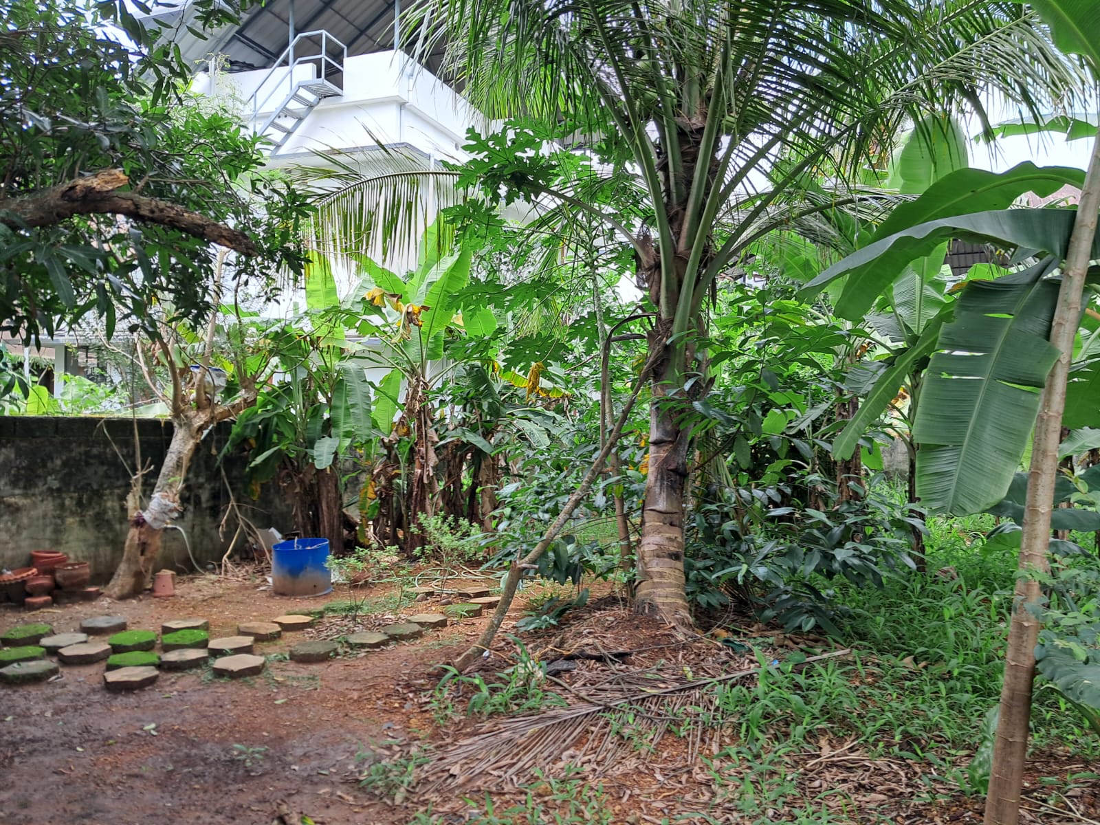 5.300cents of Residential Land in Maradu