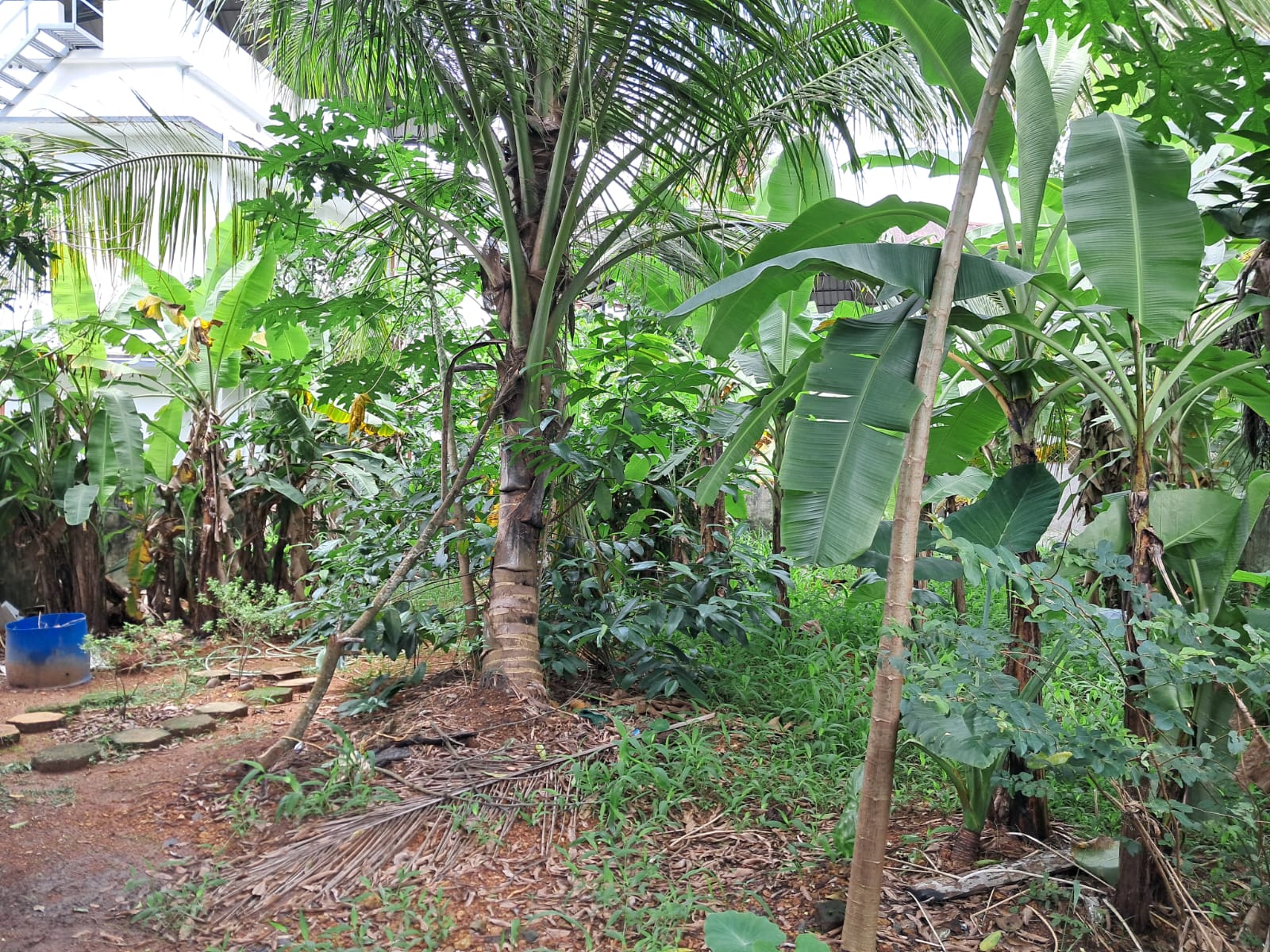 5.300cents of Residential Land in Maradu