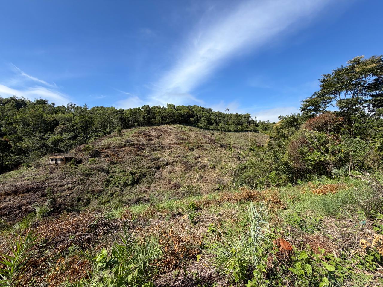 5.5 Acers of Land - for sale in Vagamon, Idukki, Kerala