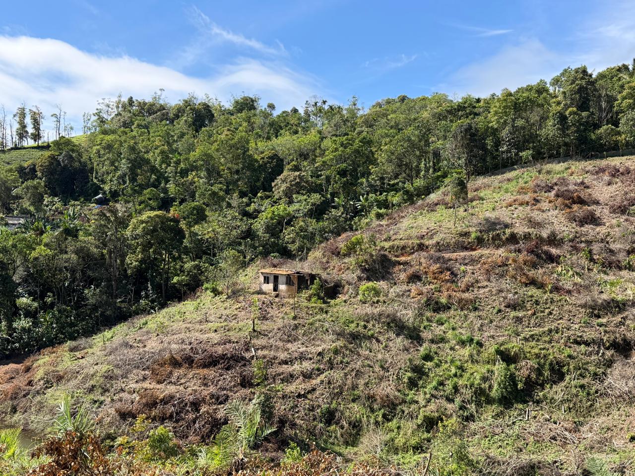 5.5 Acers of Land