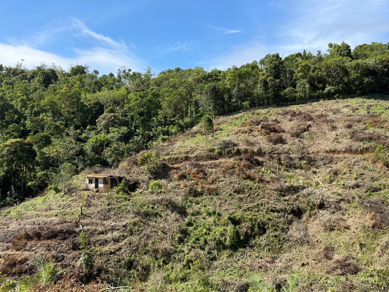 5.5 Acers of Land