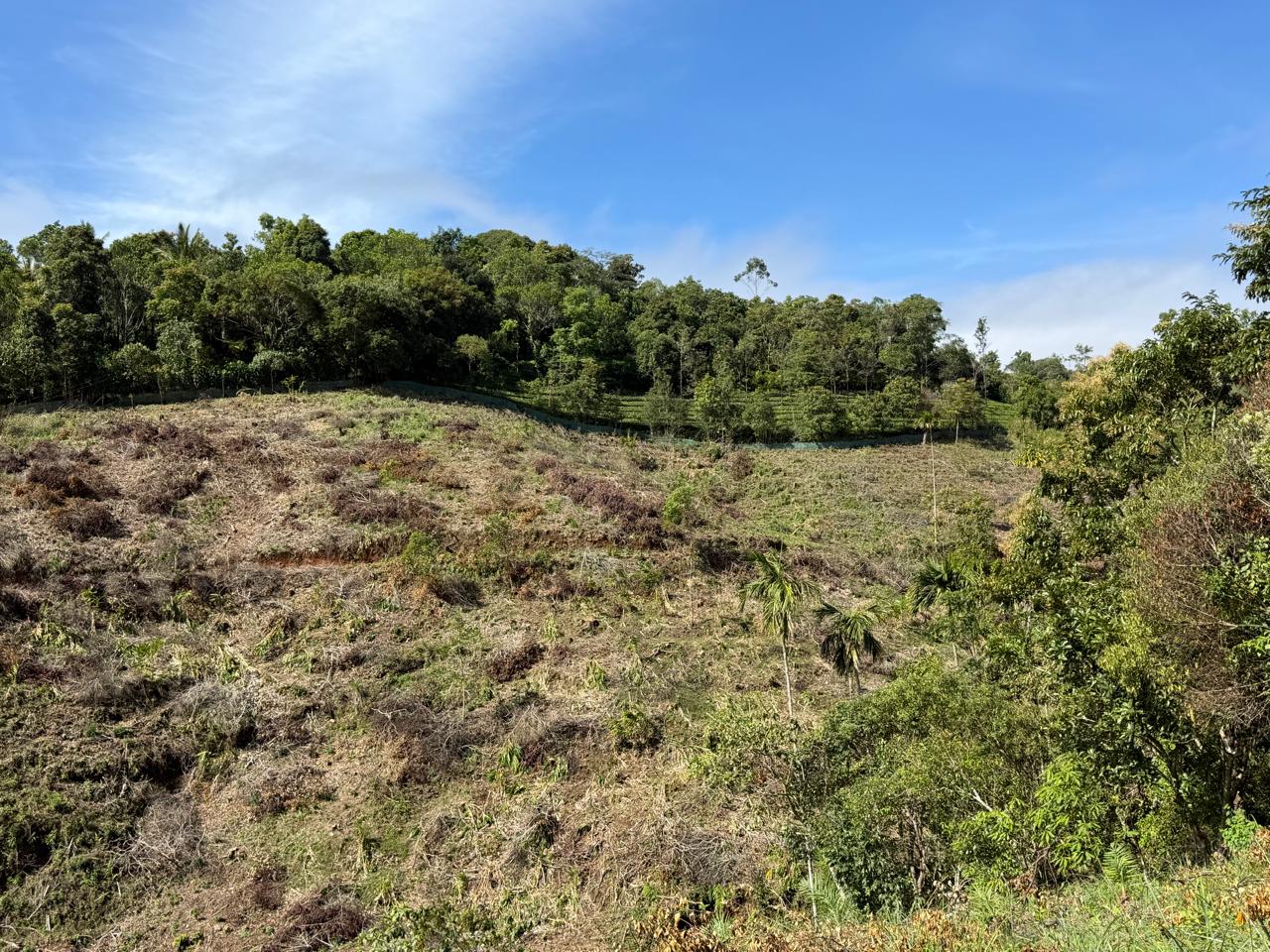 5.5 Acers of Land