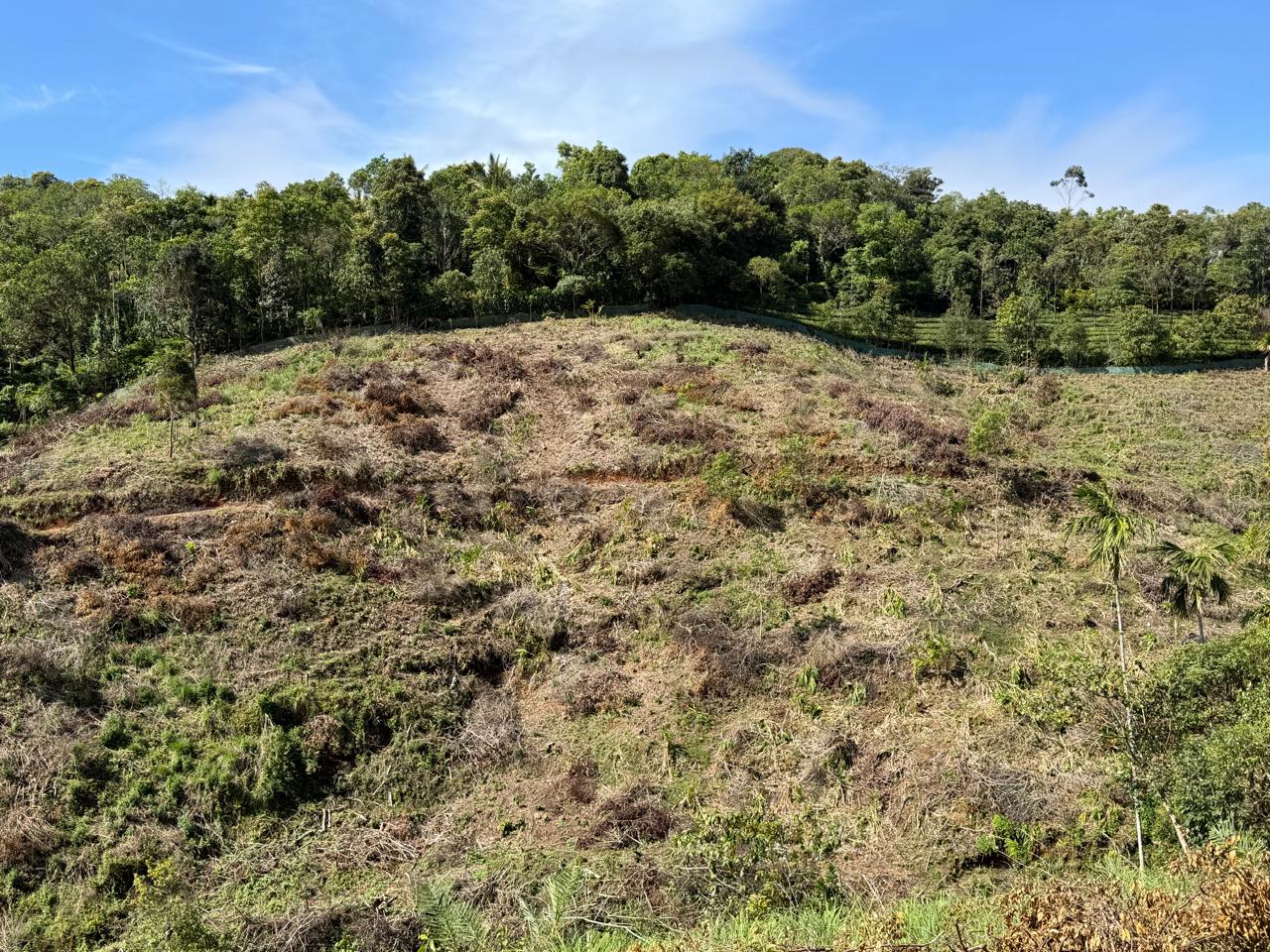 5.5 Acers of Land