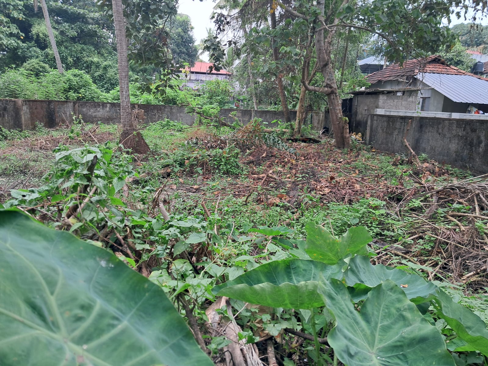 5.5 Cents of Land - for sale in Eroor, Kochi, Kerala