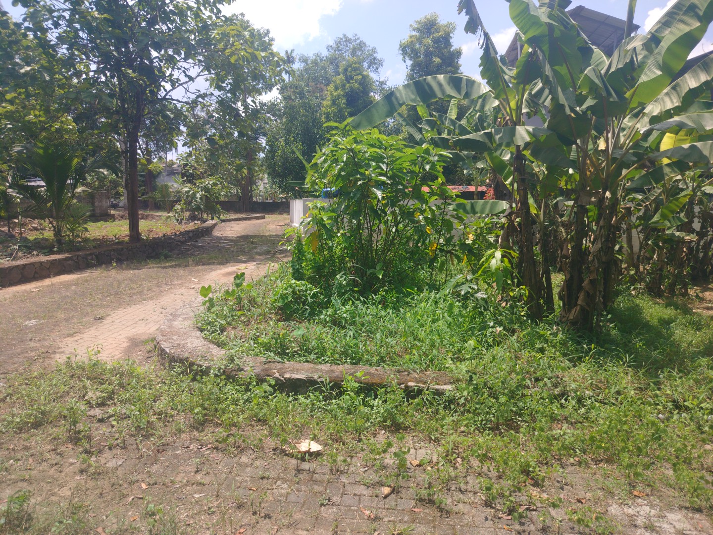 5.5 cents of Land - for sale in Palarivattom, Kochi ( Ernakulam ), Kerala