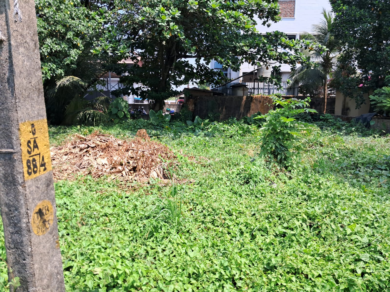 5.50 Cents of Semi Commercial/Residential Plots near Elamkulam, Kadavanthra