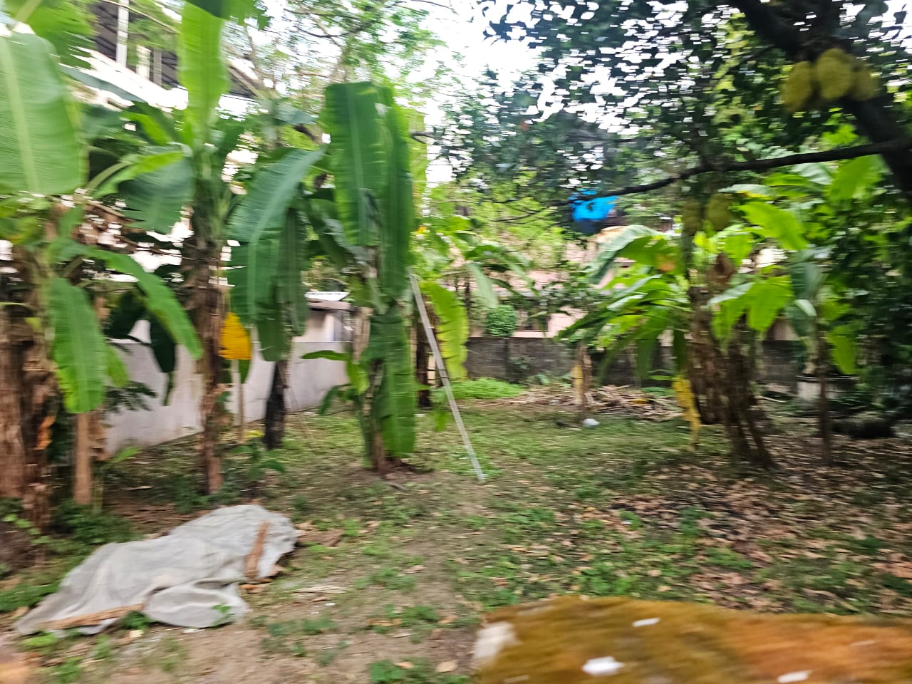 5.650 cents of Land - for sale in Palarivattom, Kochi ( Ernakulam ), Kerala