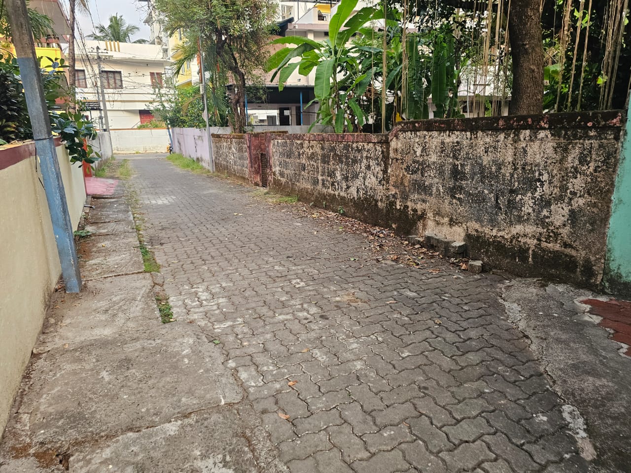 5.650 cents of Land
