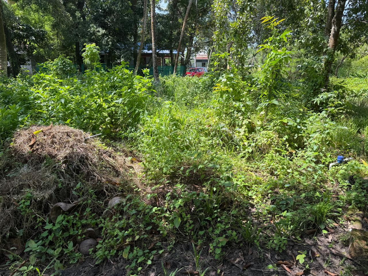 5 Acre of Waterfront Land