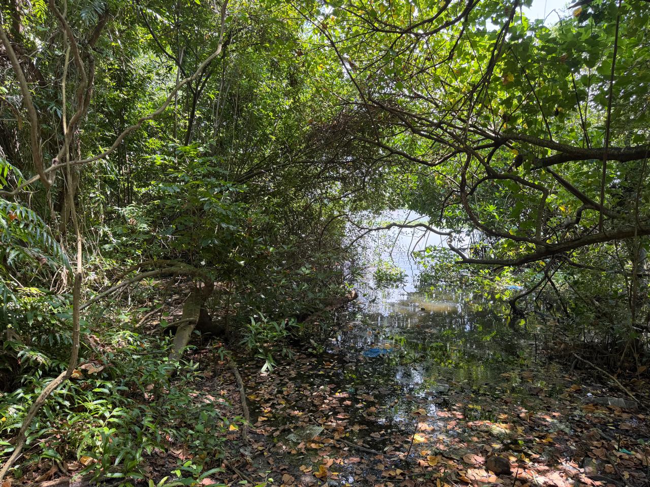 5 Acre of Waterfront Land