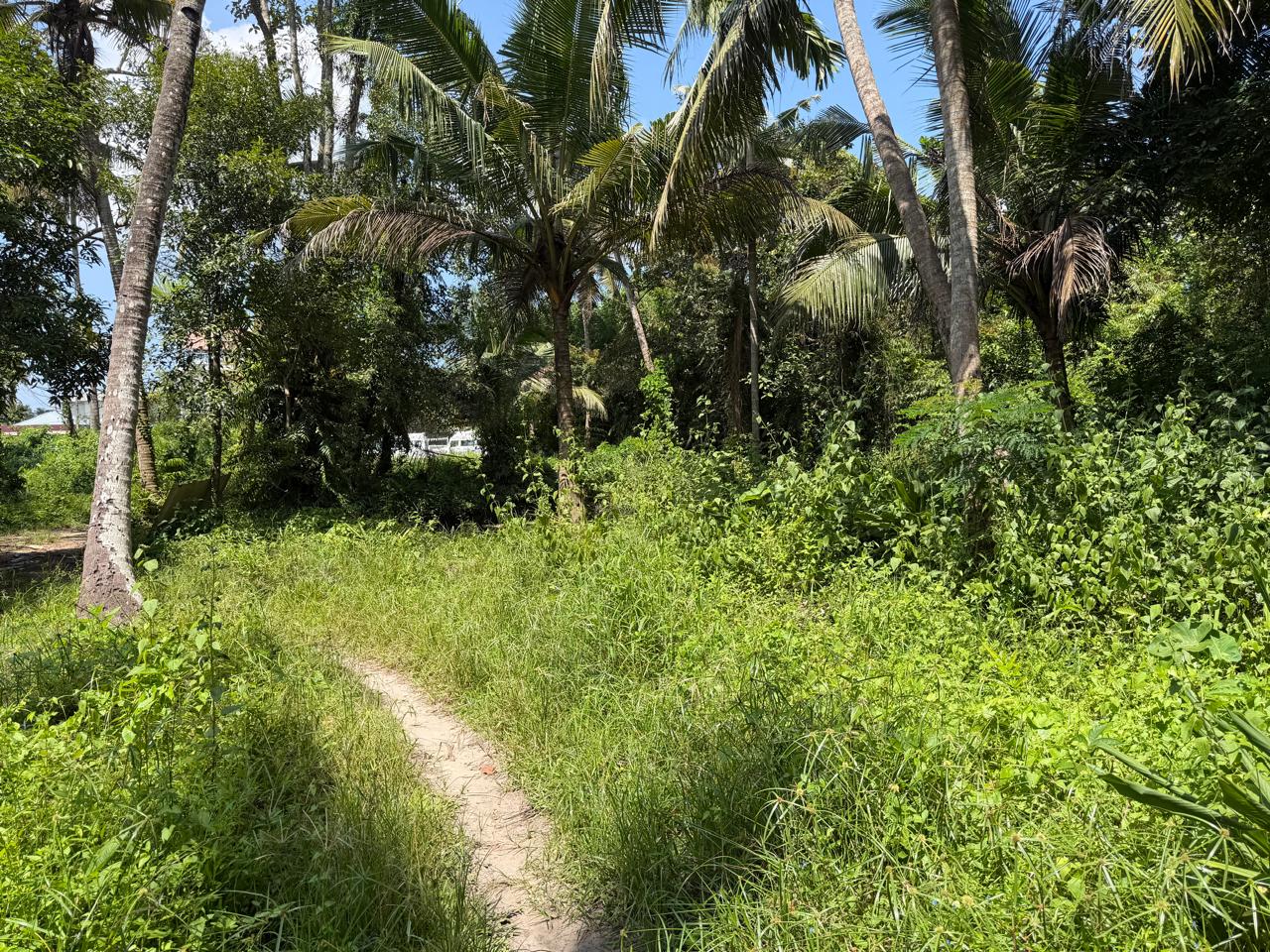 5 Acre of Waterfront Land