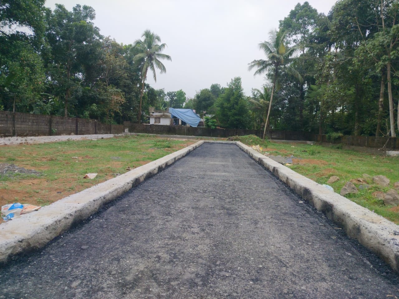 5 Cents of House Plot