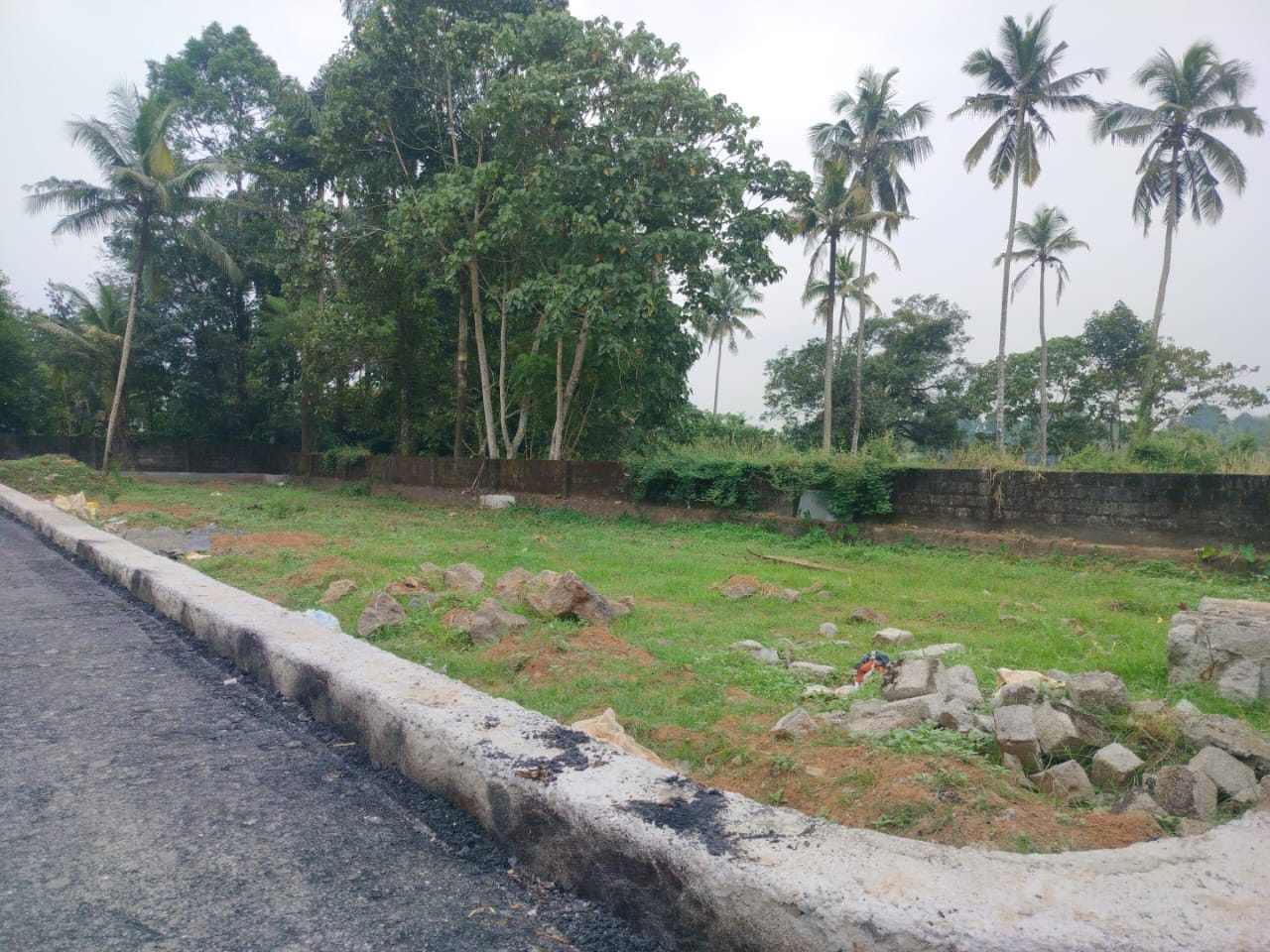 5 Cents of House Plot