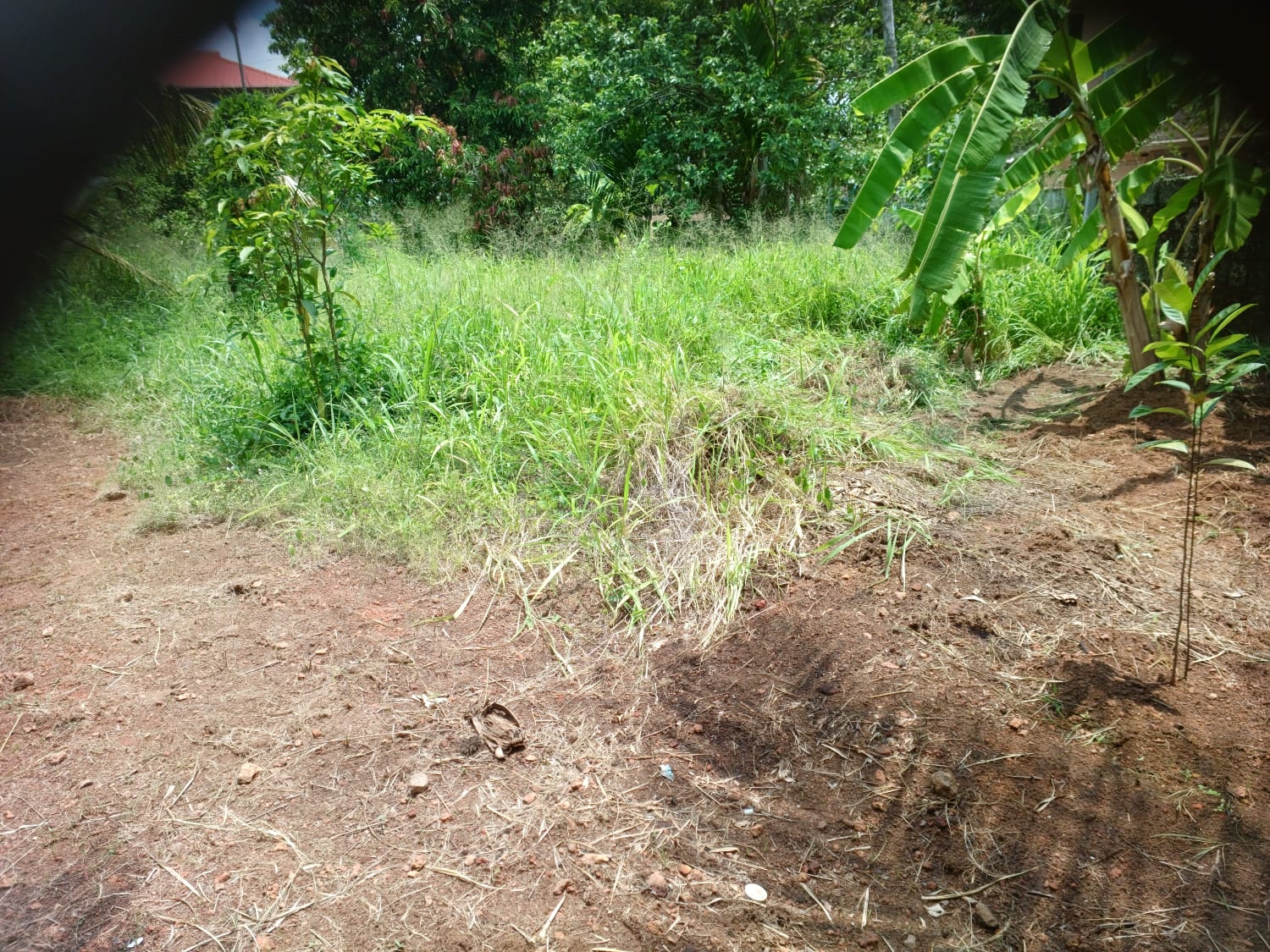 5 cents of Land - for sale in Petta, Kochi ( Ernakulam ), Kerala